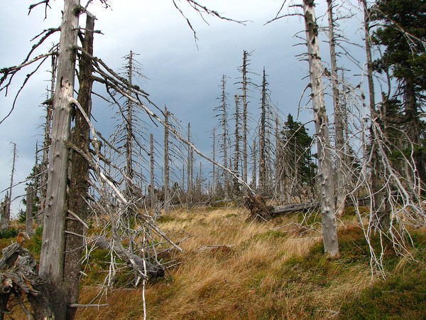 KRKONOŠE - SNĚŽKA 1602 M